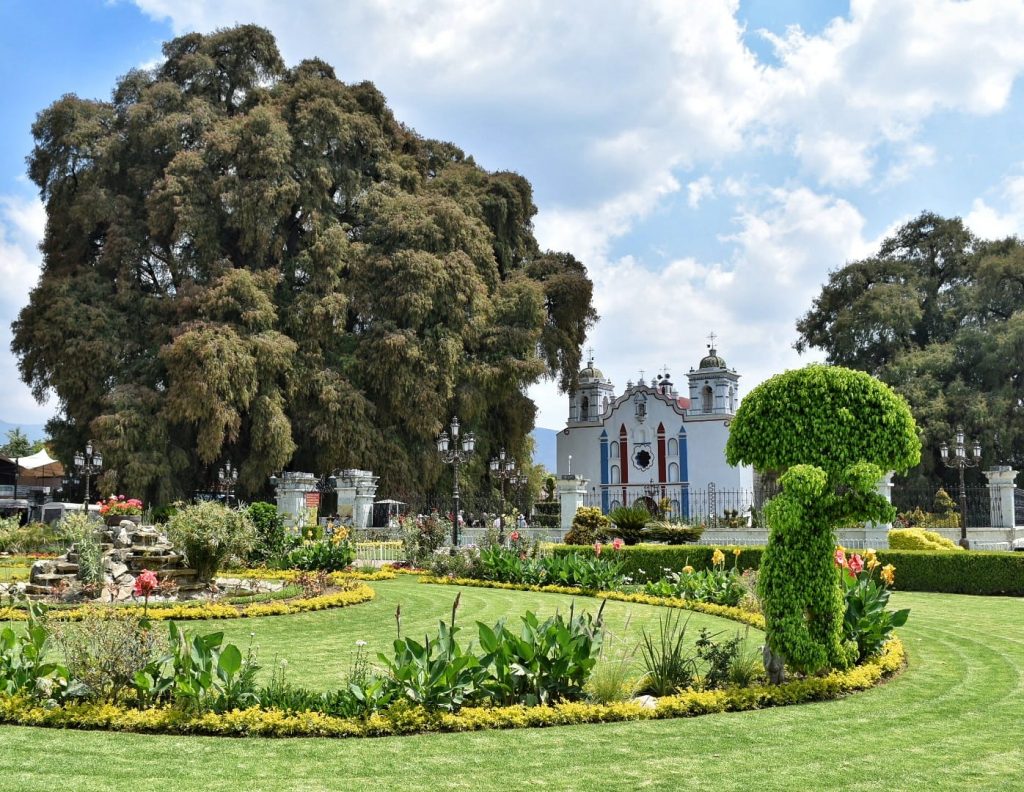 Oaxaca